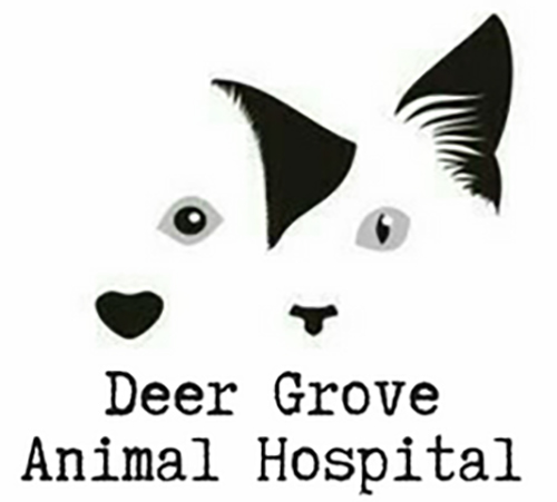 Deer Grove Animal Hospital